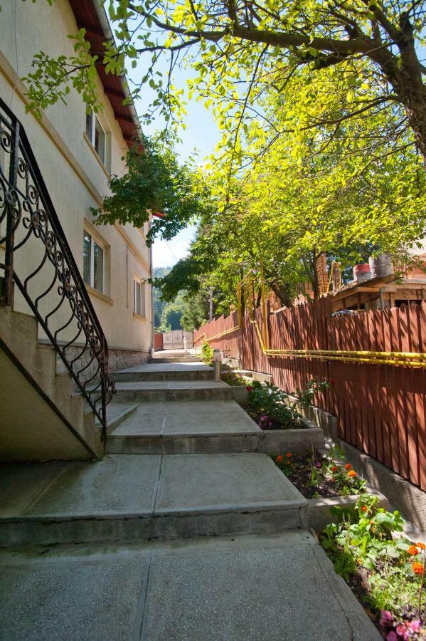 Casa Tudor Σινάια Εξωτερικό φωτογραφία